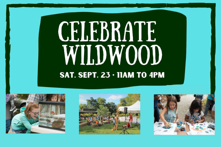 Celebrate Wildwood