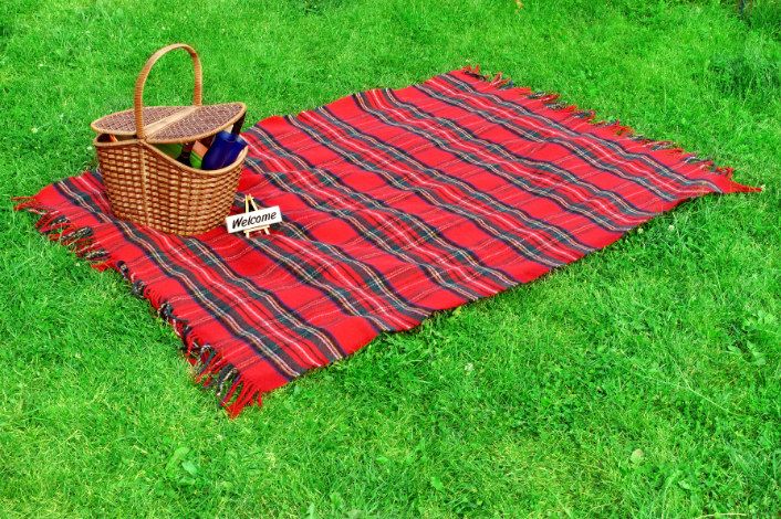 Picnic on lawn