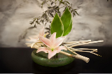Japanese flower arrangement