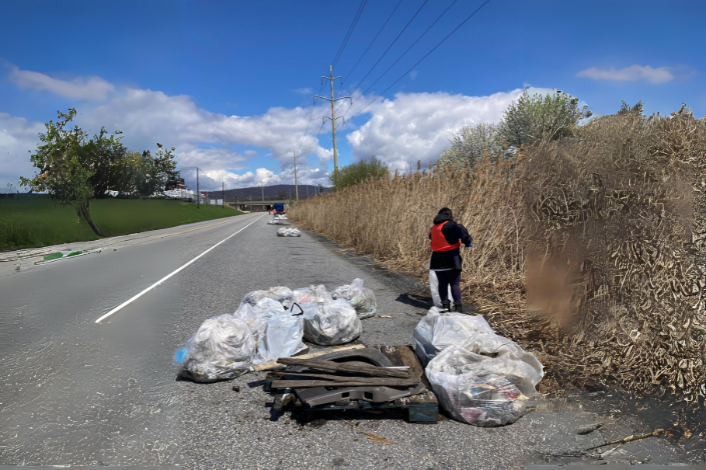 Person picking up trash along the road