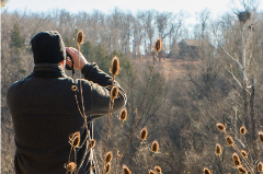 Man looking through binoculars at birds