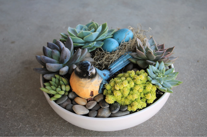 white bowl planter with succulent plants and a bluebird