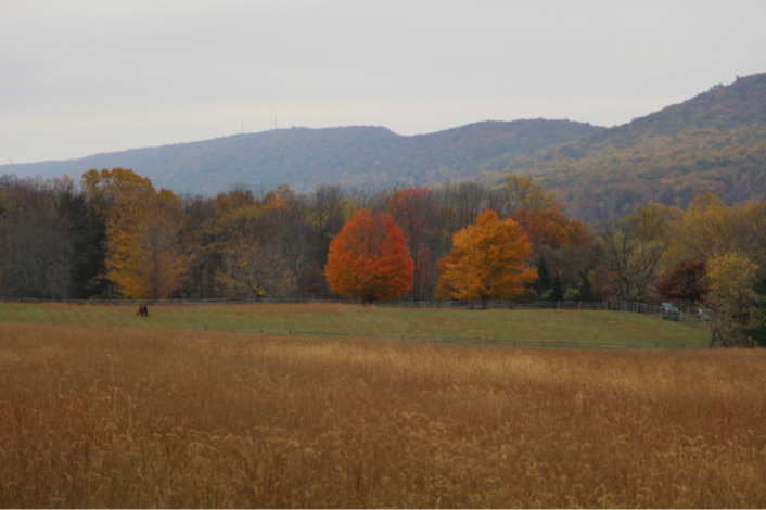 Detweiler Park fields and mountains in the background trees with colored fall leaves