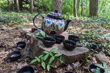 Tea pot and cups in the woods on a tree stump