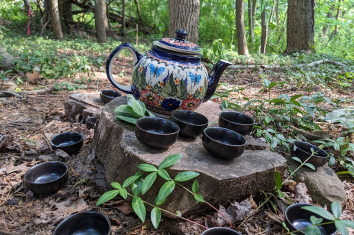 Tea Pot and cups sitting on a tree stump