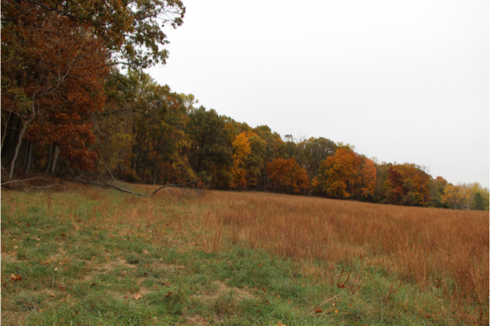 Detweiler Park in fall with colored leaves on the trees