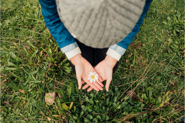 Person holding a white daisy flower
