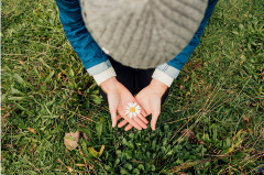 Person holding a white daisy flower