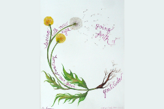 watercolor print of a dandelion