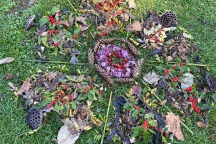 Arrangement of natural materials like leaves, seed pods, pinecones into art