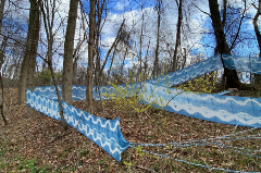 Picture of outdoor art inside the park