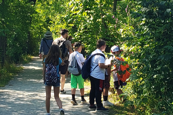 Middle School Children exploring the woods as part of a summer camp program