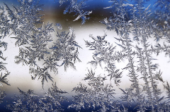 Close Up View of Snowflakes