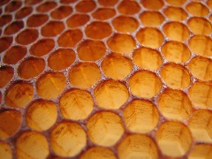 Honeycombs close up