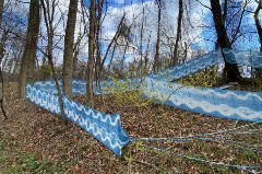 Blue and white pained canvas stretched through the trees in the forrest