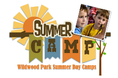 Colorful logo for Wildwood Summer Day Camps featuring a drawn sun, tree, flags hanging from a branch spelling out CAMP and a picture of two young children looking at a bug