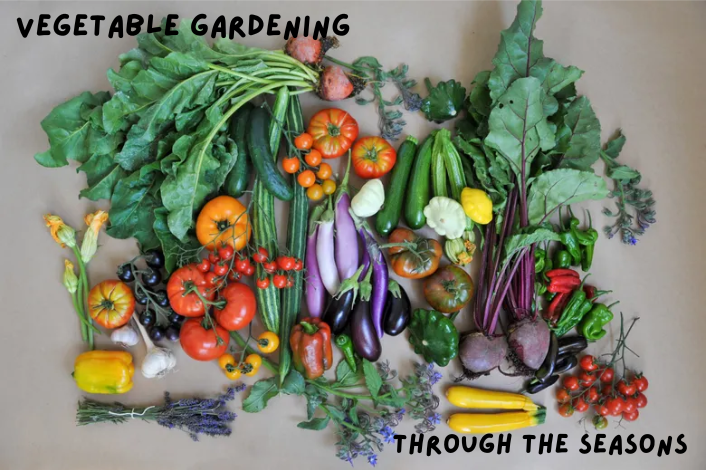 Collage of freshly picked vegetables from the garden