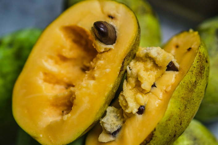 Local foraged fruit