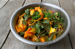 Bowl full of wild greens and flower petals