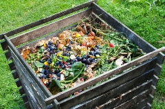 Wooden Composting Bin with plants, berries and vegetables in the bin