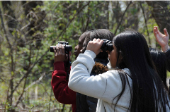 Children looking through binoculars watching for birds